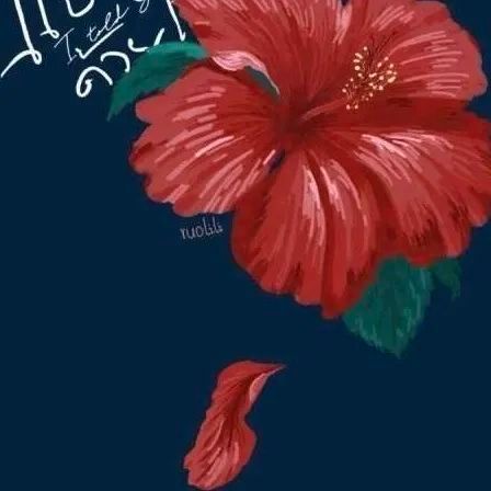 2022提升运气的微信头像意境,田姓氏微信头像图片大全2022