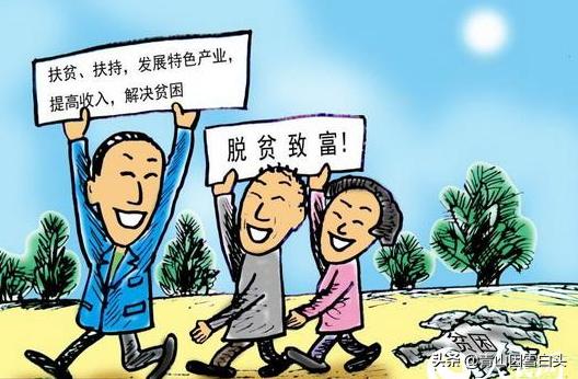 农业种植桑叶致富项目,农村种植树致富项目