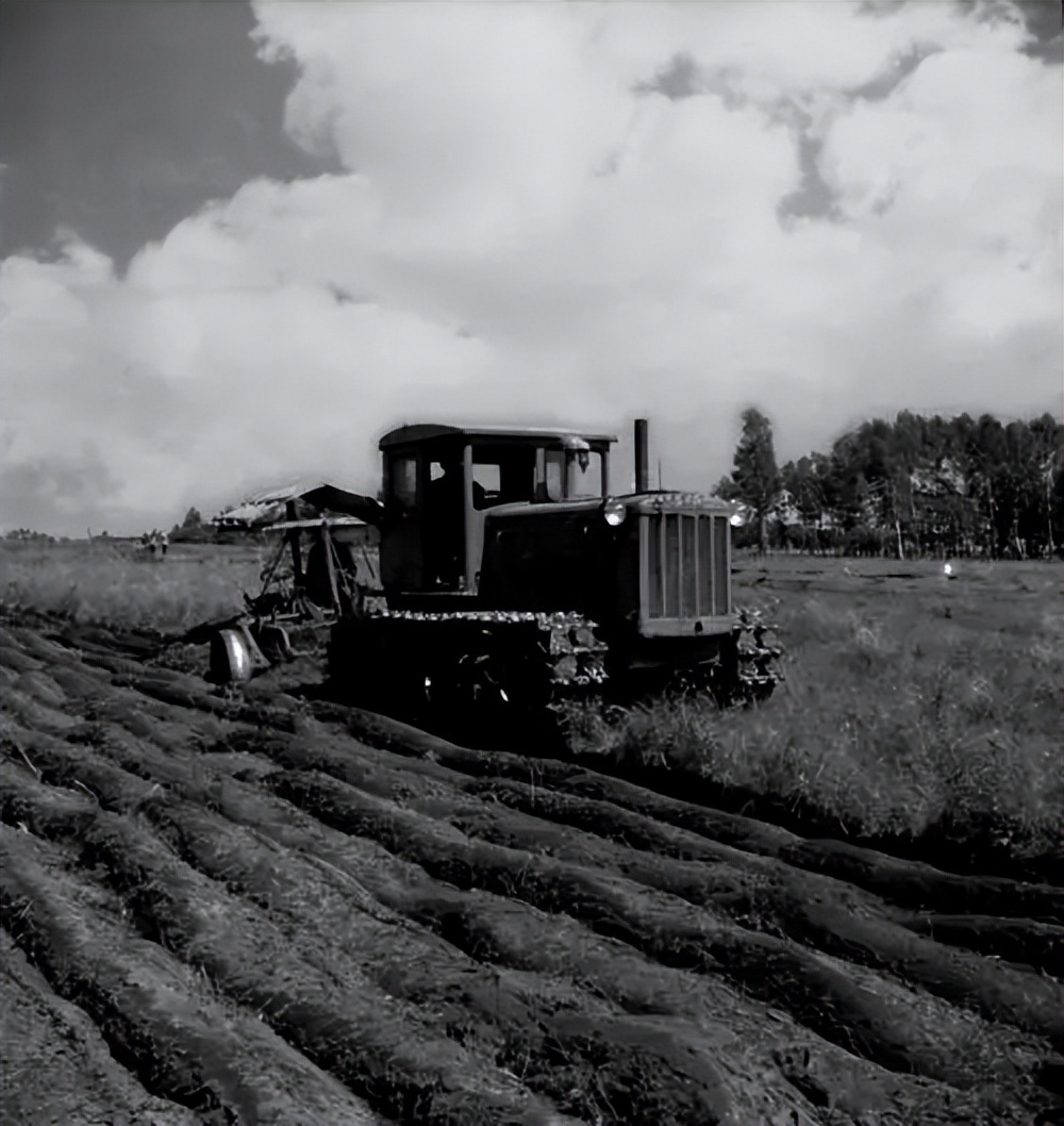 北大荒为什么退林还耕,北大荒当年咋样开垦的