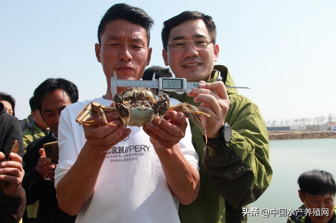坚持做好产品质量的决心,坚持做良心产品