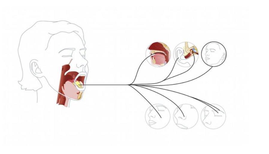 新型他达拉非上市，有何独特之处？服用需要注意什么？建议了解