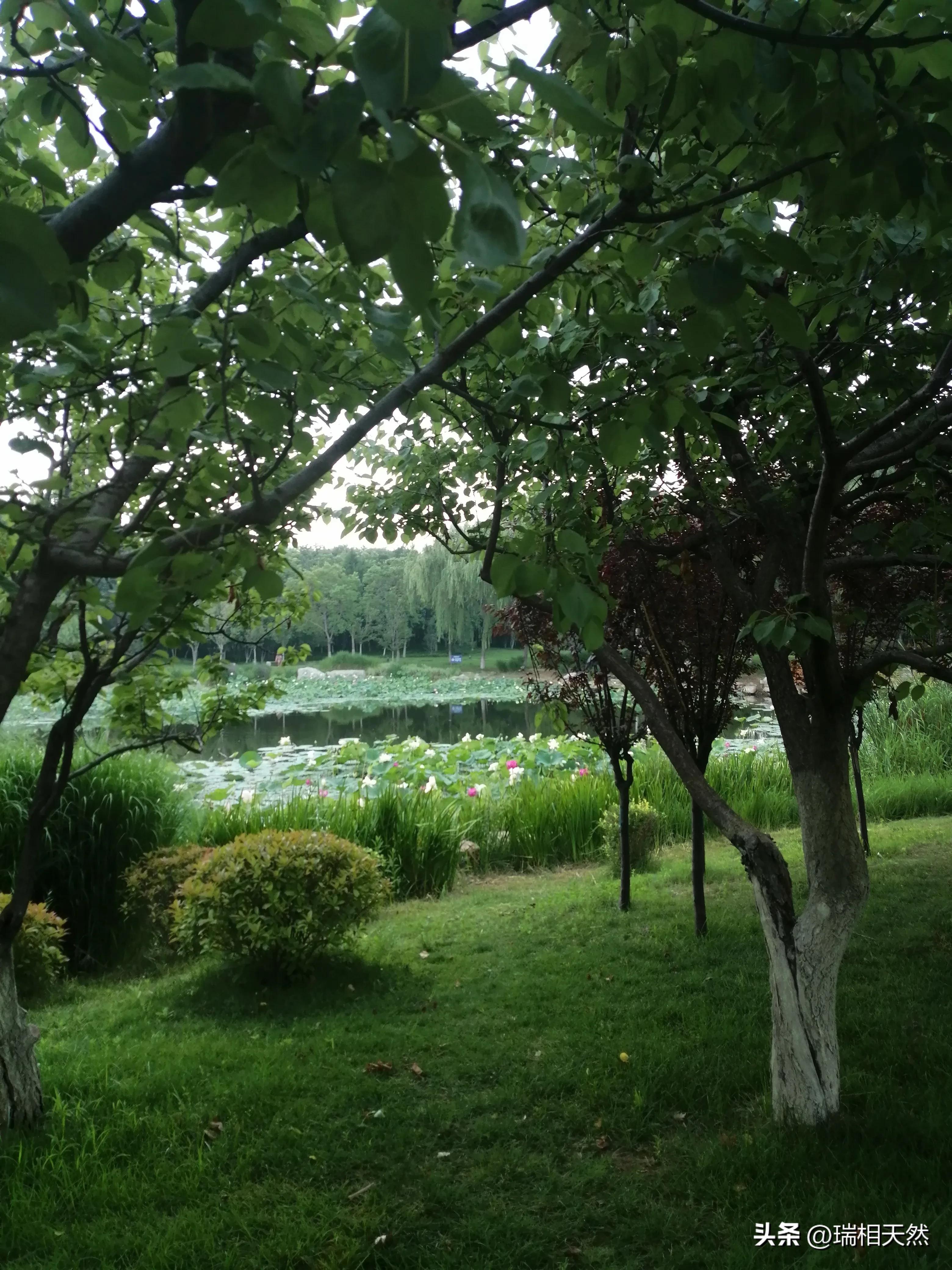 原创律诗或绝句三首,随笔三首情诗原创