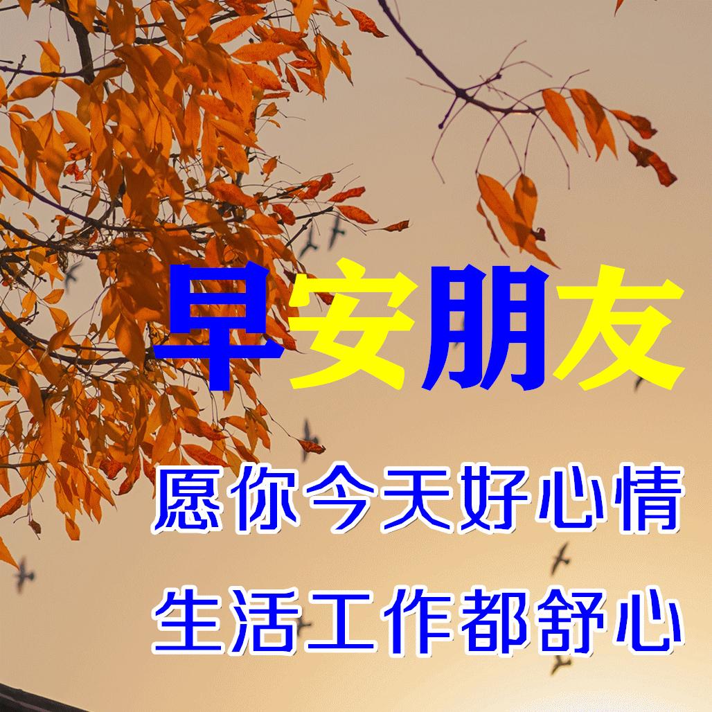 「2022.11.03」早安心语，正能量经典哲理语录句子很赞的问候图片