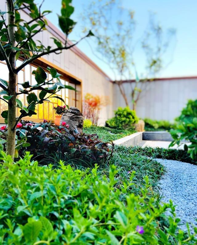 养花有小蚊虫用什么办法可以消灭,家里养花驱蚊虫小妙招