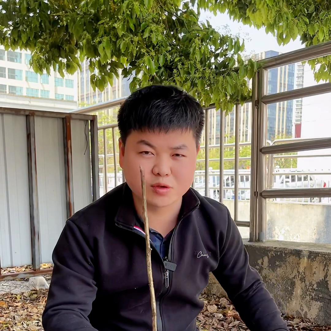 买二手特斯拉要注意哪些问题,特斯拉官网的二手特斯拉可以买吗