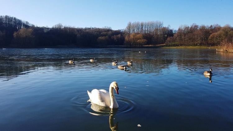 太一英国地产,太一地产发展趋势