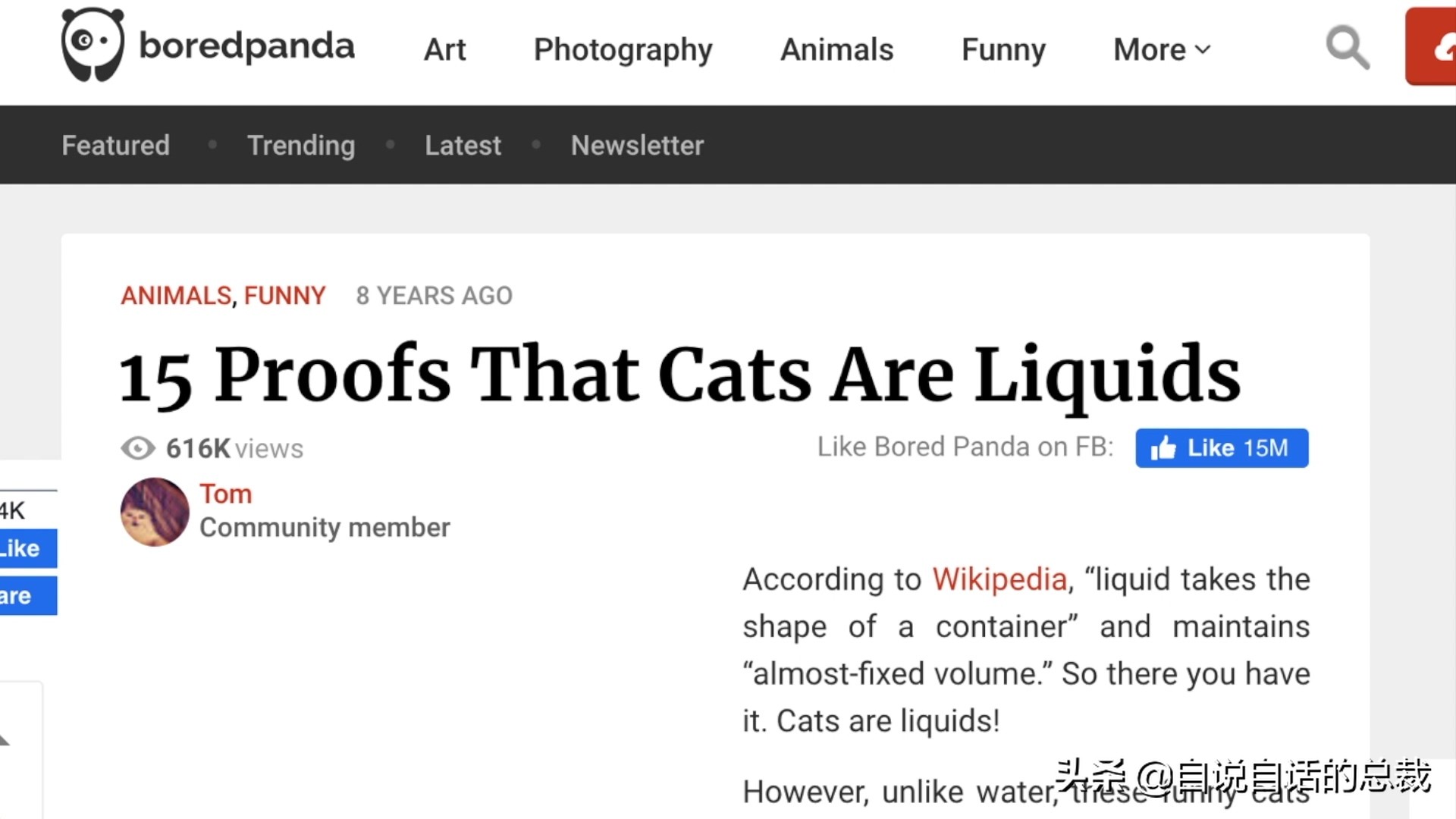 液体猫是真的吗,为什么都说猫咪是液体猫