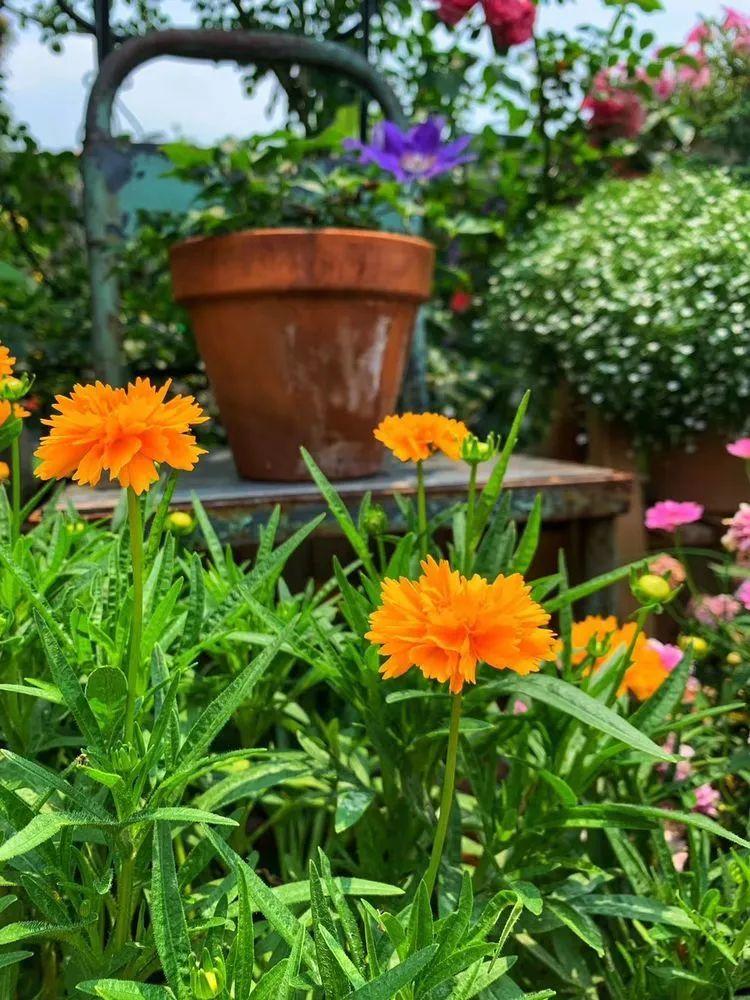 两家共用一个平台怎么解决,两家共用一堵墙发生矛盾怎么处理