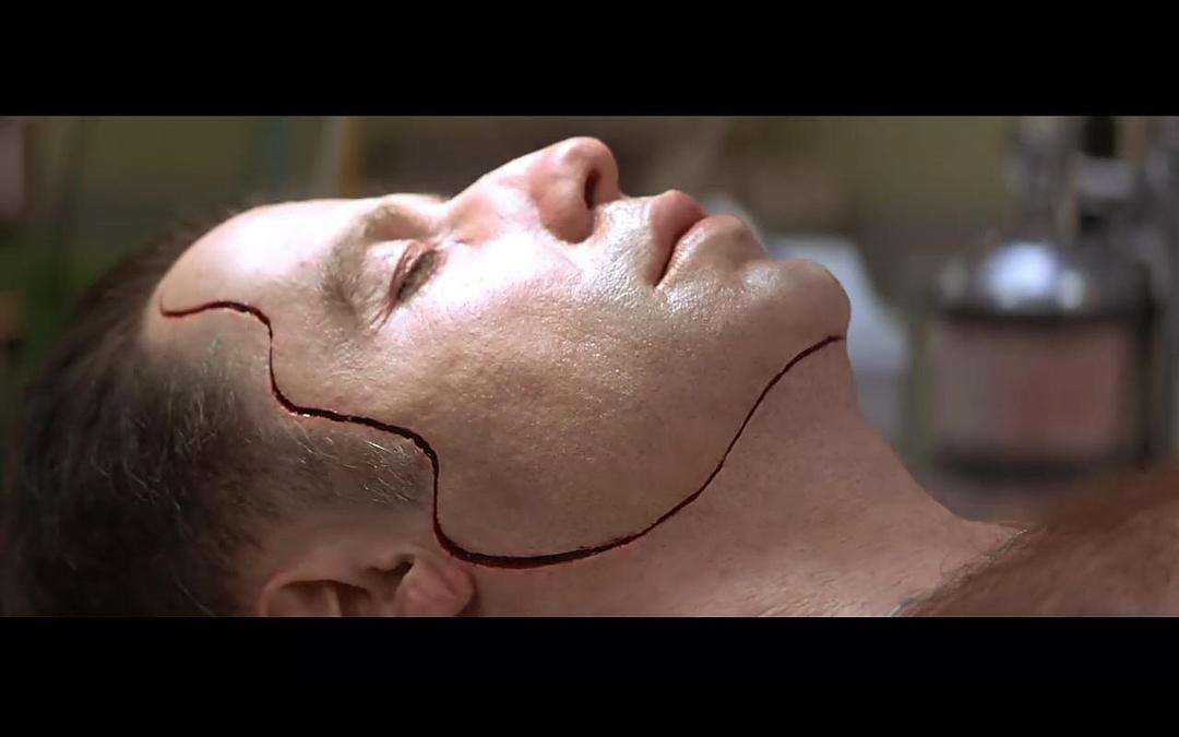 特拉沃尔塔和尼古拉斯凯奇,尼古拉斯凯奇演技巅峰