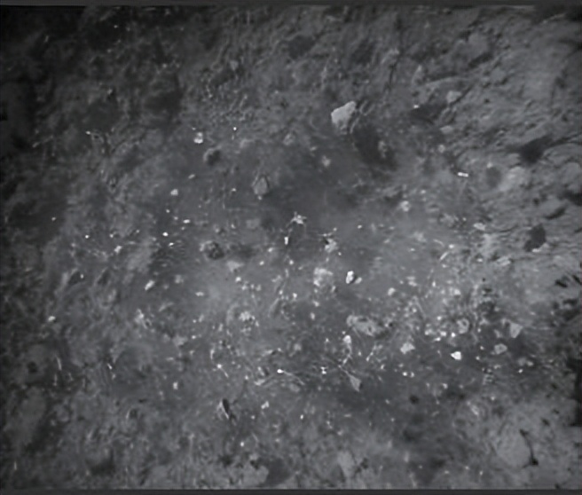 隼鸟2号二访小行星,日本隼鸟2号登陆小行星龙宫