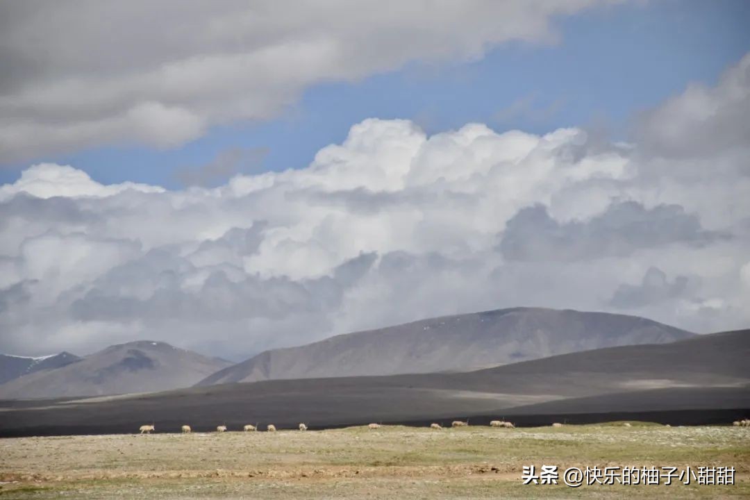 绌胯秺鍥涘ぇ鏃犱汉鍖哄彲鍙タ閲岀涔濆ぉ,鍙彲瑗块噷鏋侀檺涔嬫梾