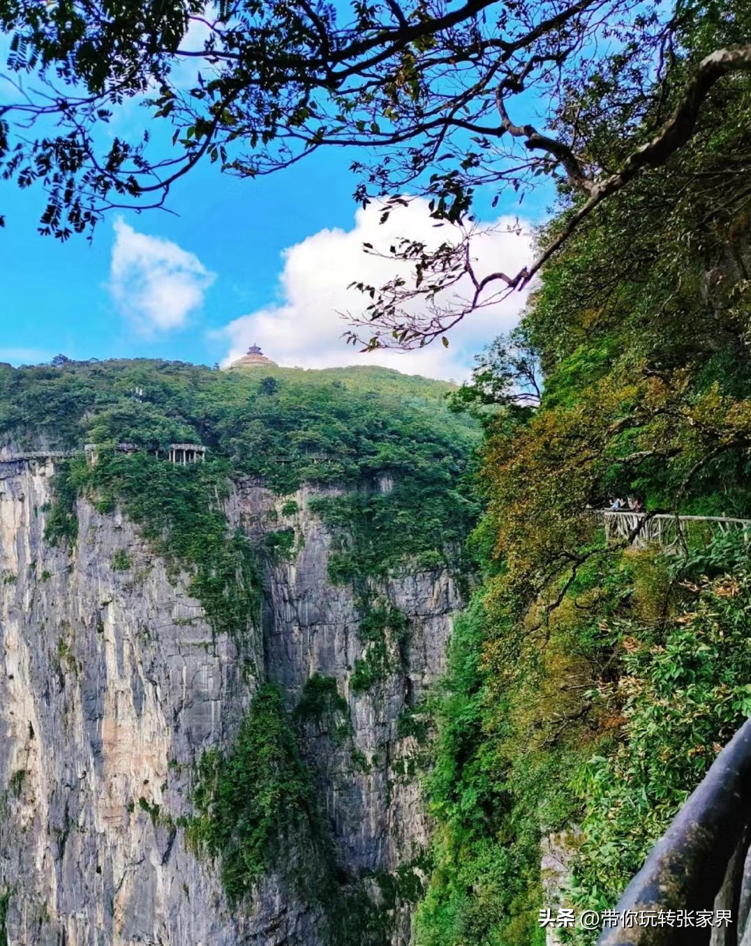 福州去长沙张家界凤凰古城攻略,张家界凤凰古城芙蓉镇自驾游攻略