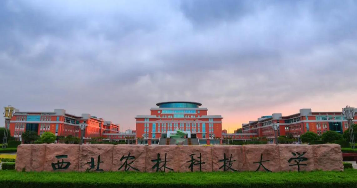 低分捡漏985大学值得吗,适合捡漏的六所985大学