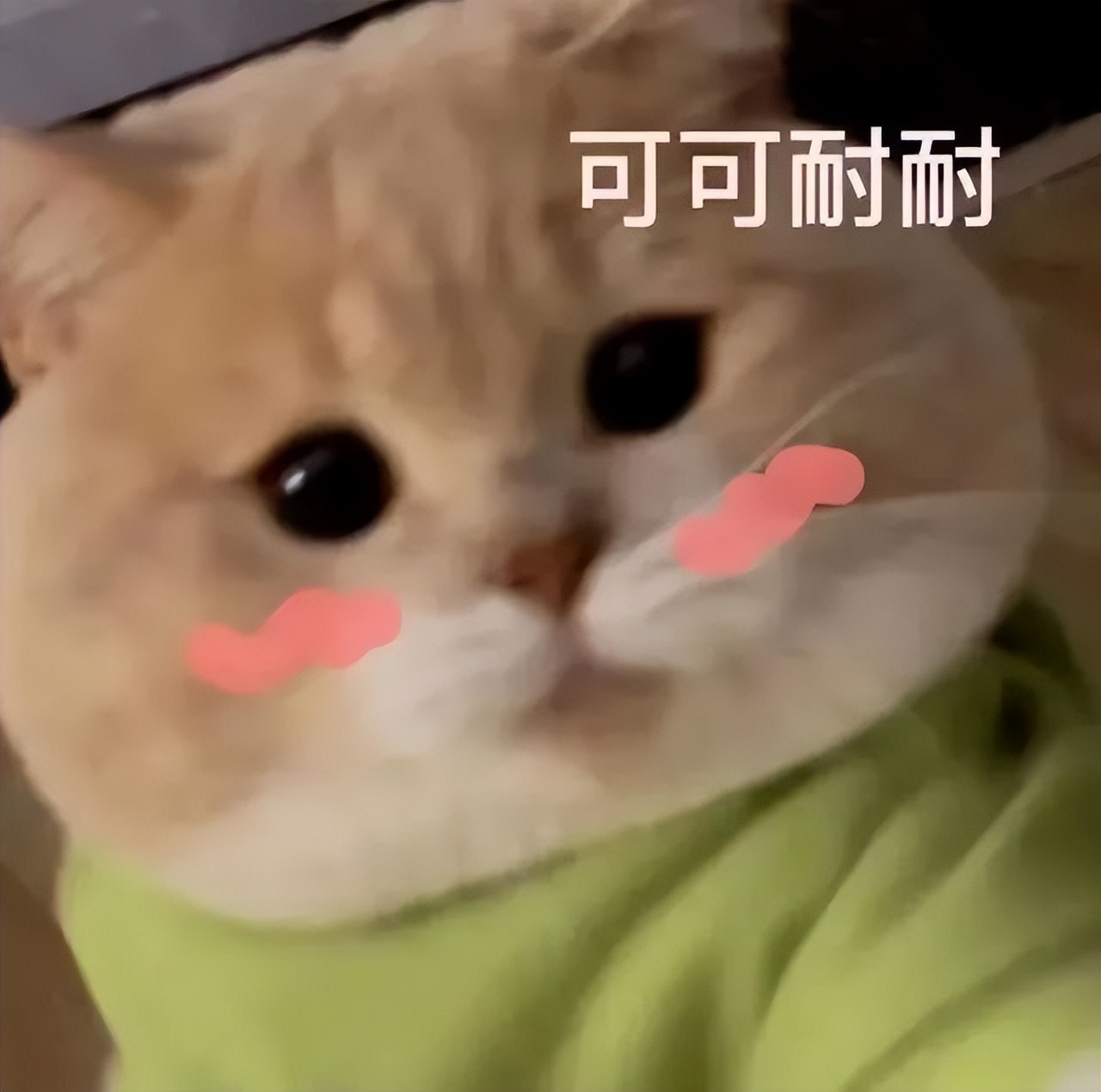 贩剑表情包评论区,贩剑表情包不回消息