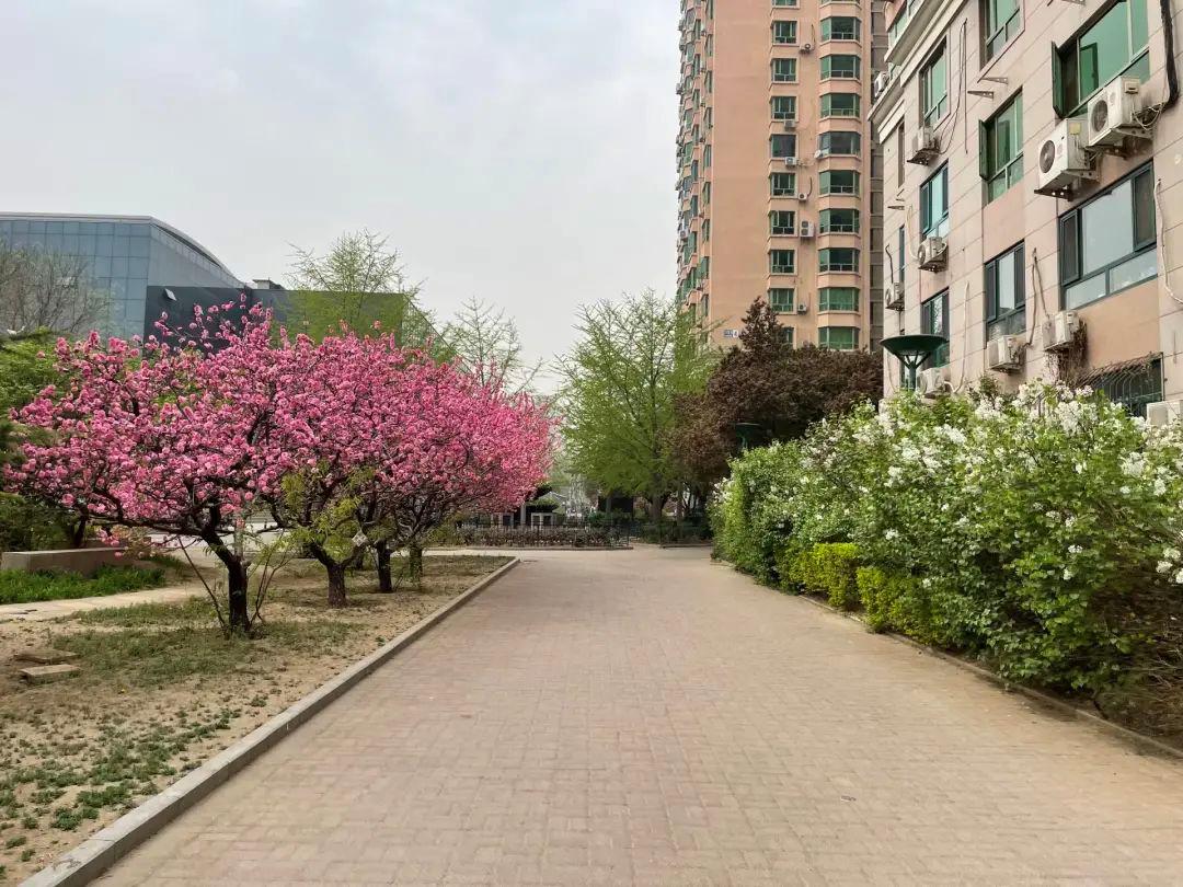 被大厂裁员后去环球影城,被大厂裁员后心态调整