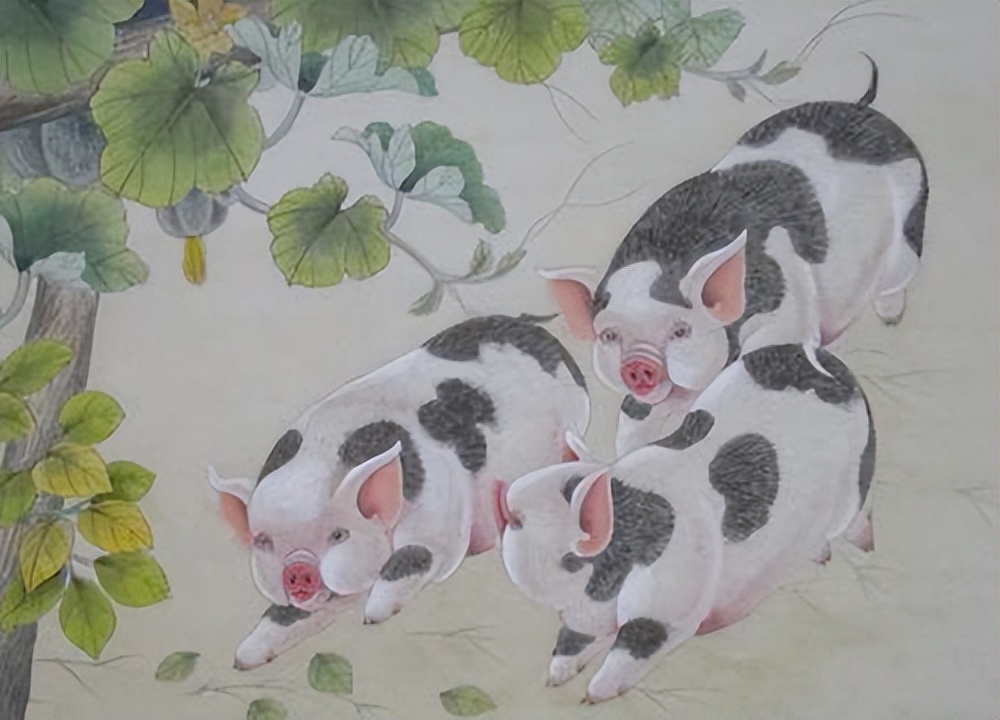 属猪人的逐月出生运势,属猪人的几月有大富运