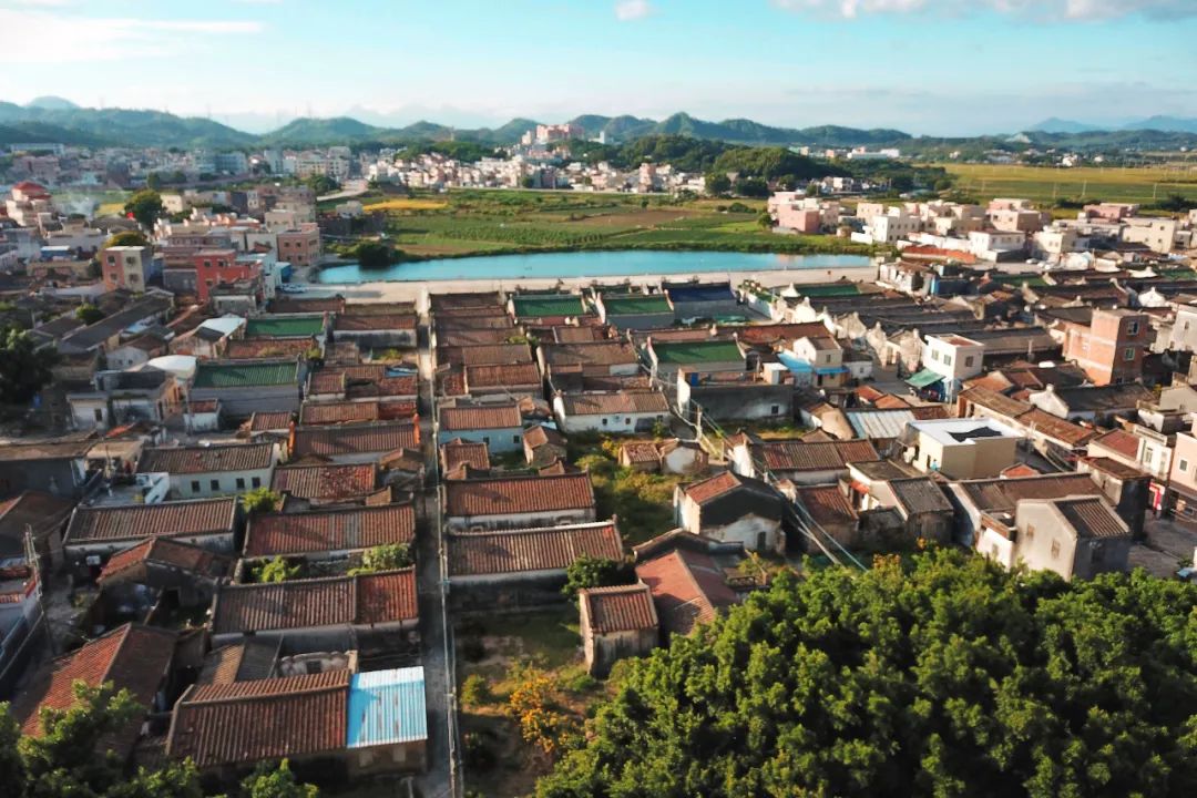 1年有150天住酒店,44次旅行,47次飞行!这江南女子怎么做到的?