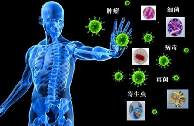 “断食”饿死癌细胞？一项美国研究误导众人，华为前高管因此送命