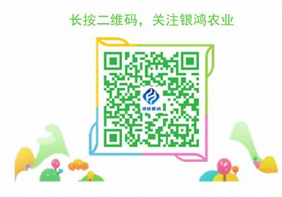 湖南安化黄精新闻,安化黄精优势在哪为何全国认可