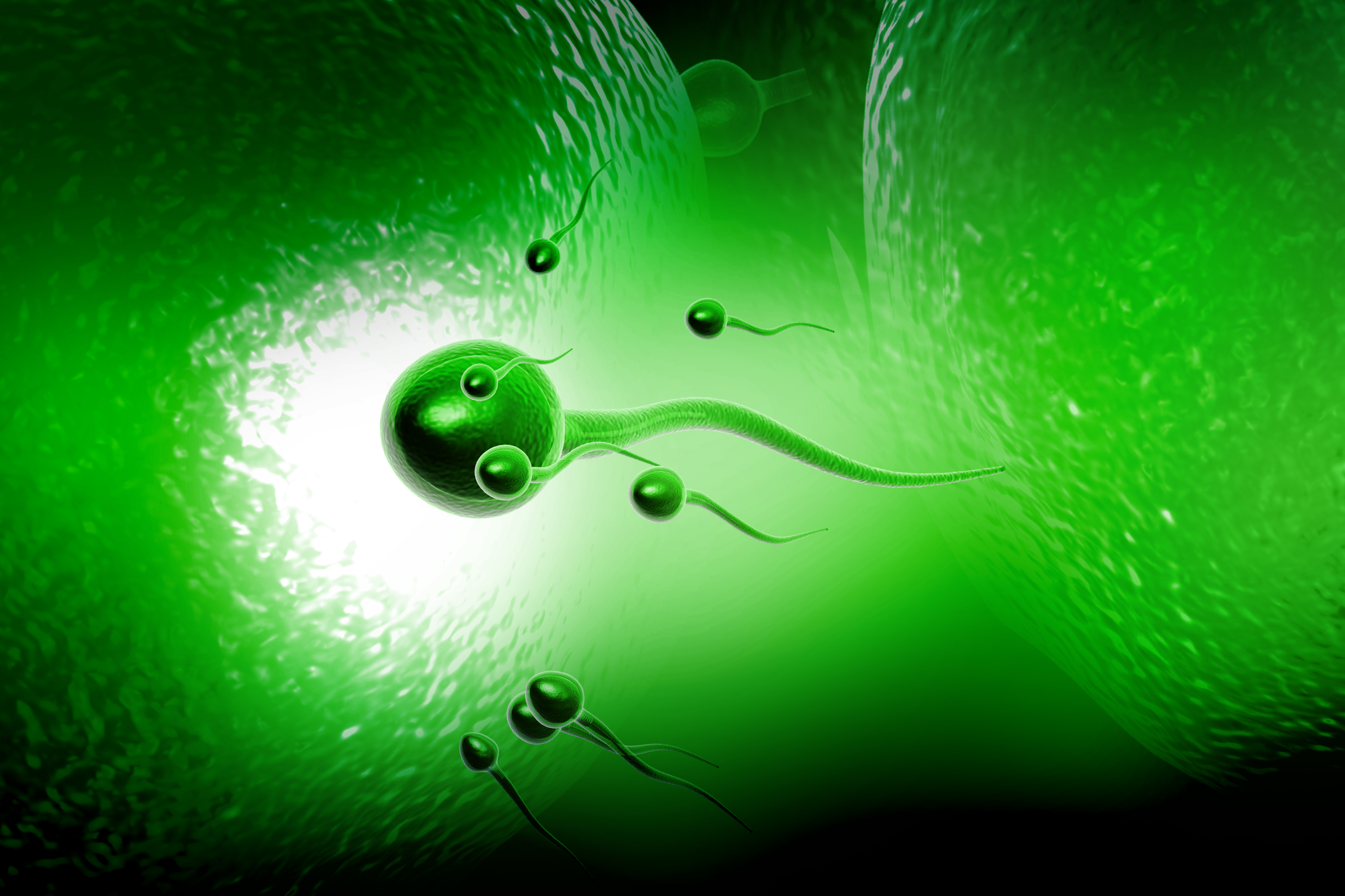 国内男性精子质量呈明显下降趋势,中国男性精子质量下降报告