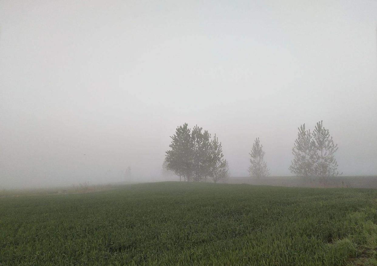 立冬节气冷不冷,立冬冷不冷