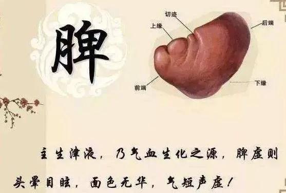 眩晕，头痛头昏，健忘，痰蒙清窍，六味药，燥湿化痰，平肝熄风。