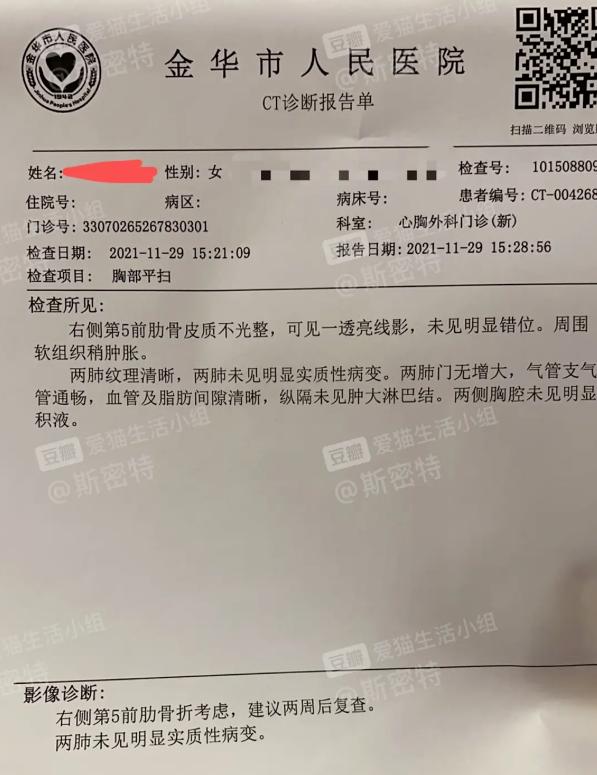 两个猫掐架怎么办,和铲屎官打架的猫咪