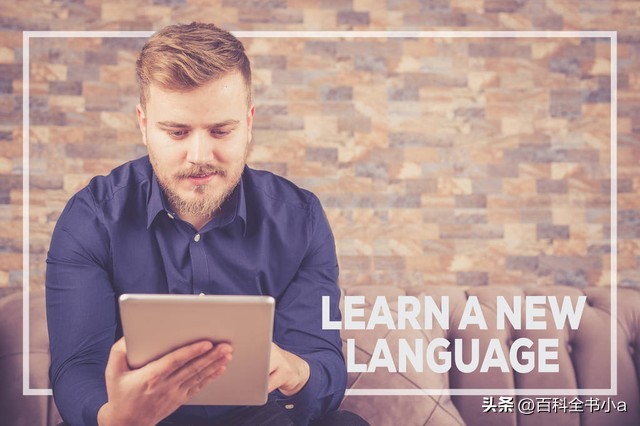 高一英语senior,高中英语senior原句