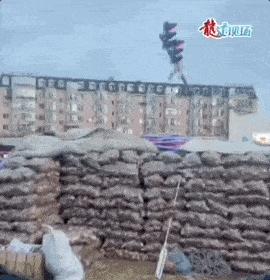 东北人冬天买白菜,盘点东北人买白菜