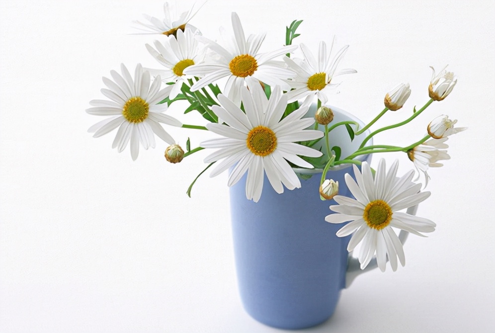 当发现自己的老公背叛你怎么办,发现丈夫背叛后该怎么做