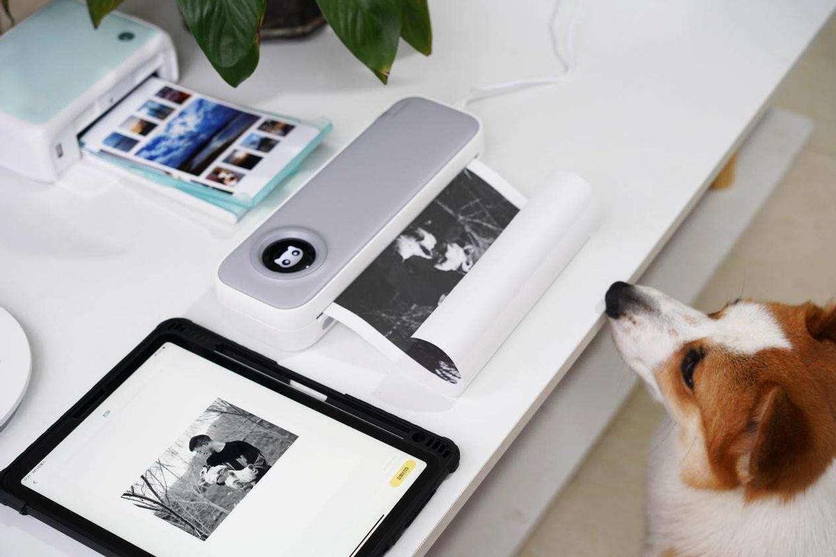 一个小小打印机就能帮助孩子学习喵喵机学习打印机F2S评测