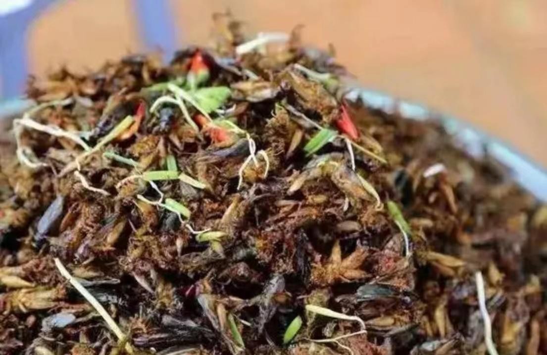 贵州6道“奇葩”美食，被本地人当成宝，外地人直摇头，快来看看