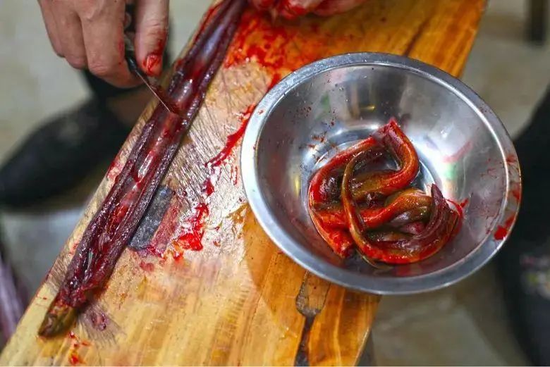 长沙吃土鳝鱼,在长沙吃不惯食物怎么办