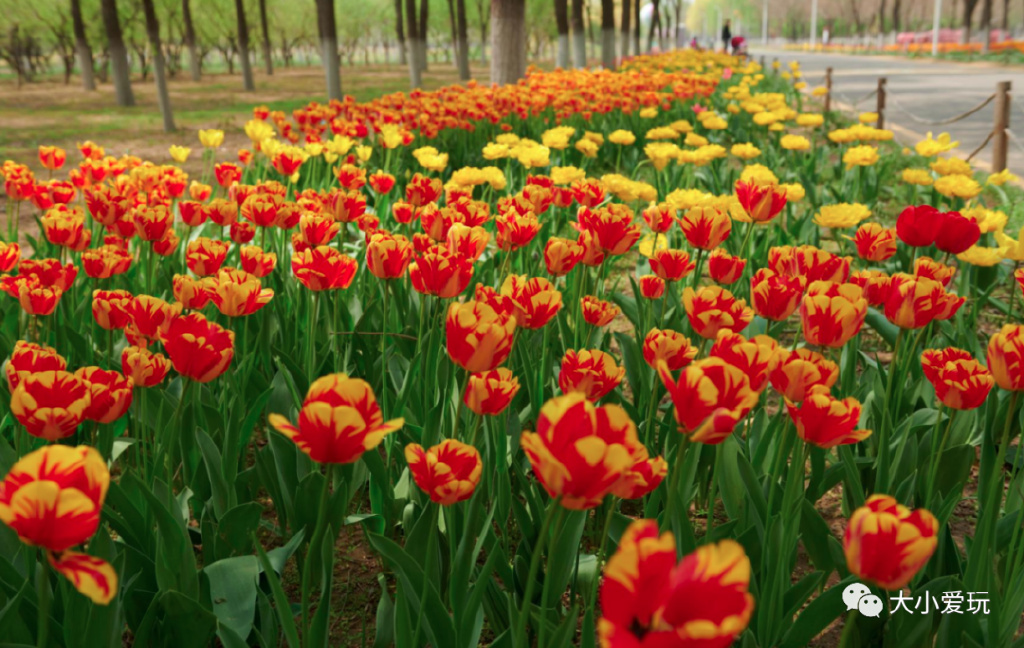 适合三天两夜的自驾亲子旅游胜地 (6条不同的游览路线供游客自由选)