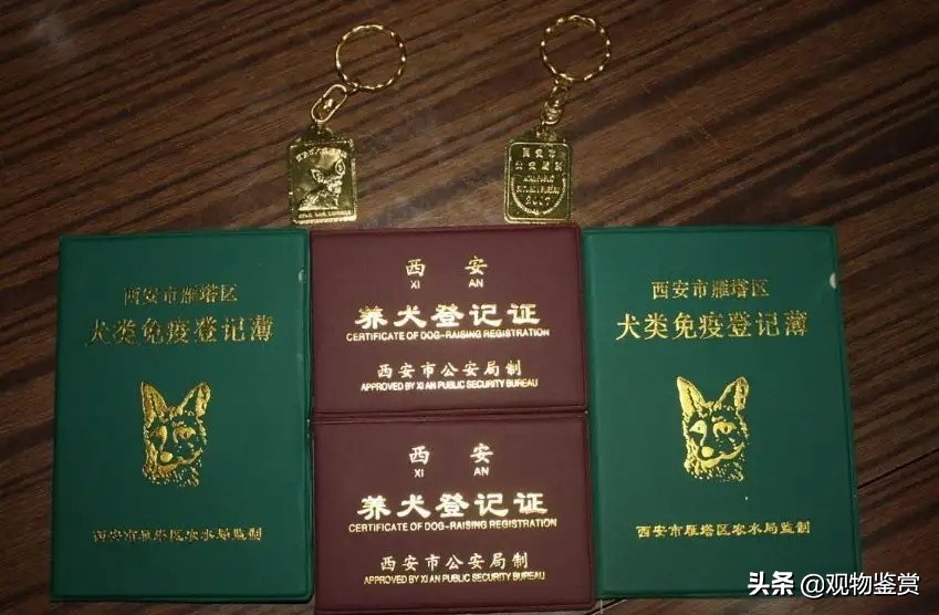 宠物医院能办理狗证吗北京,给宠物狗办狗证需要什么手续