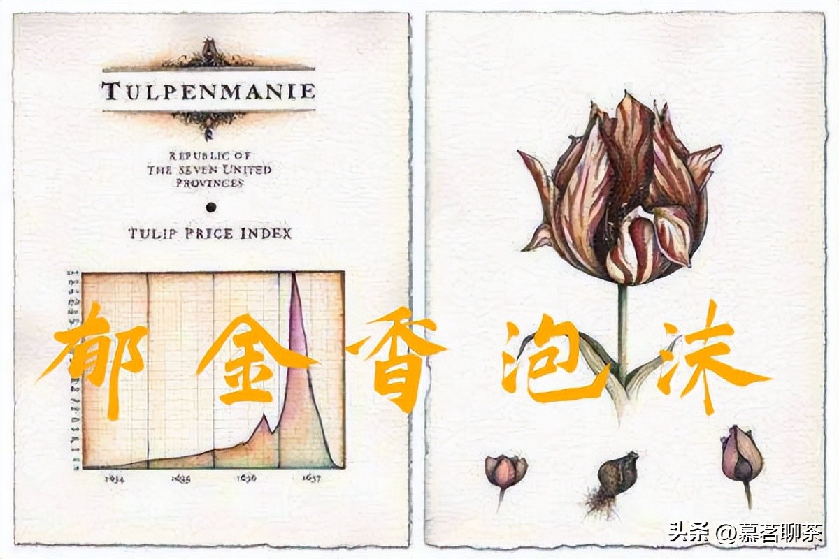 再美的泡沫也有被戳破的一天，普洱金融茶，梦该醒了！