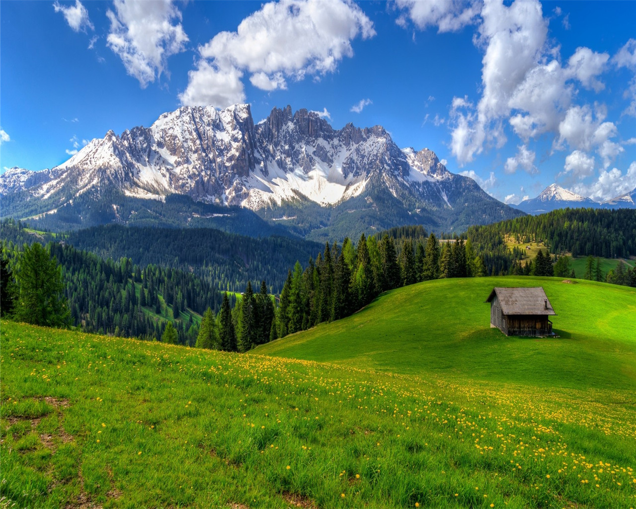 50张顶级绿色绝美壁纸,100张惊艳全屏壁纸风景