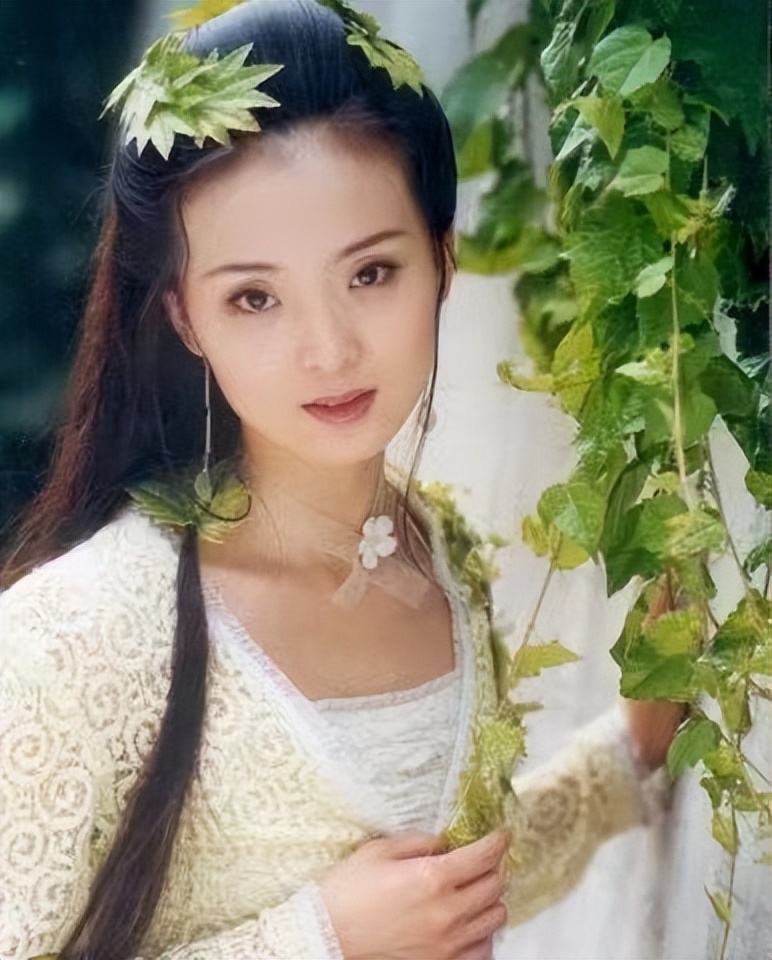 王艳23岁嫁入豪门跟老公差几岁,王艳嫁入豪门真实生活