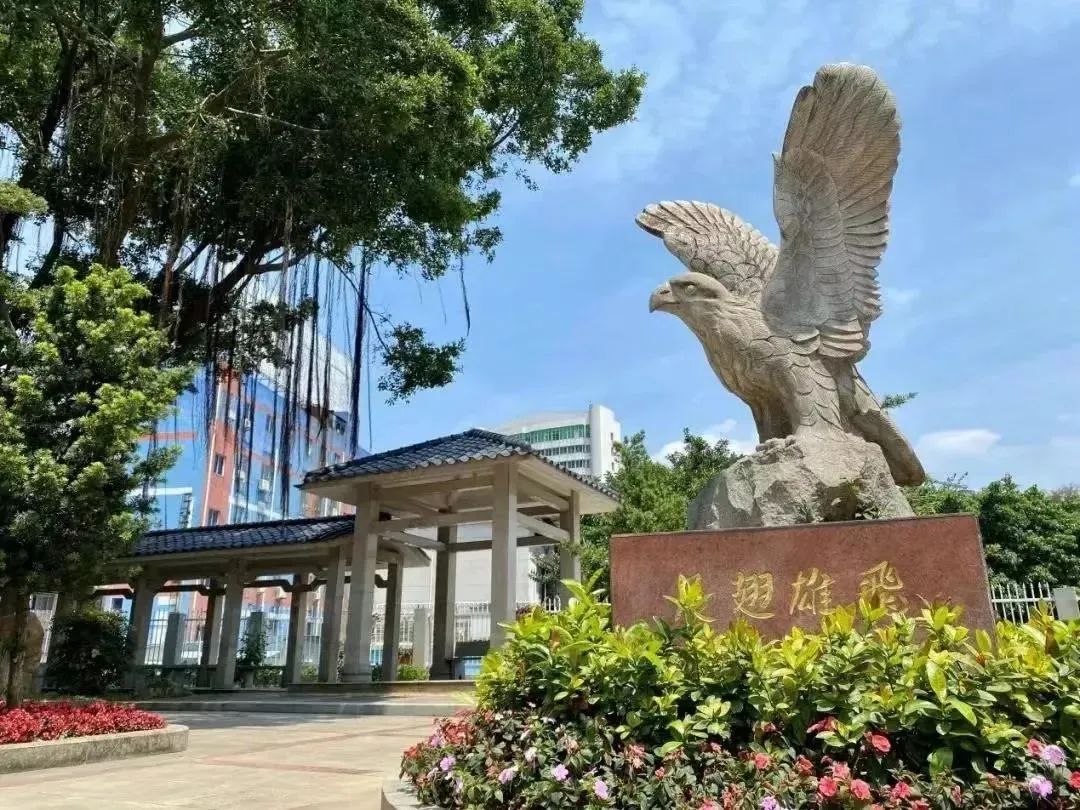 白云区初中重点班,热门初中特色班最全汇总速览收藏