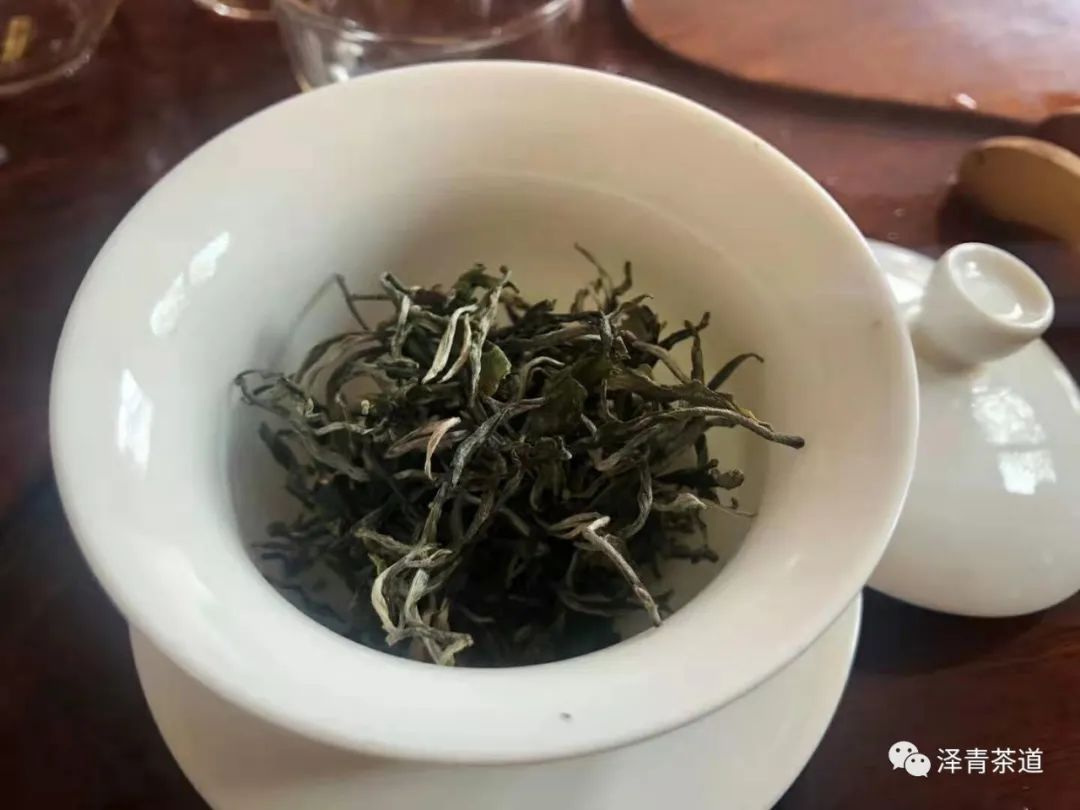 保塘古树茶好喝吗,芒景古树茶好喝吗