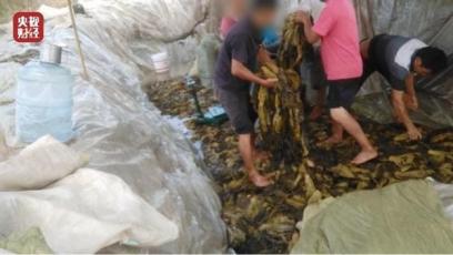 黑作坊榨菜视频315打假,央视315榨菜