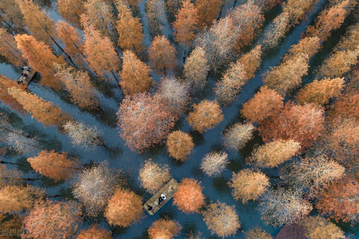 林业信息技术应用就业前景,林业研究生就业前景