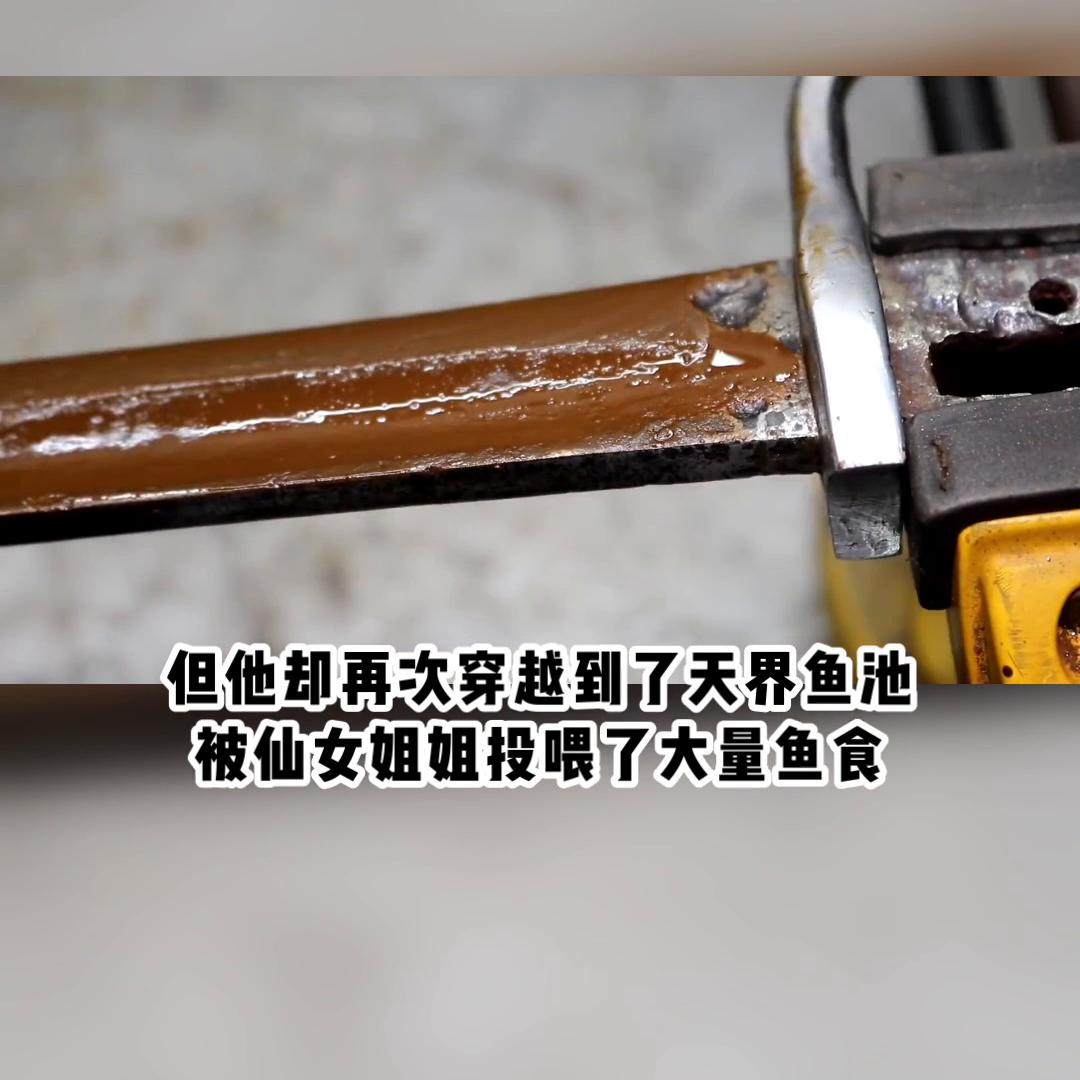 泥鳅也成仙#宝藏小说