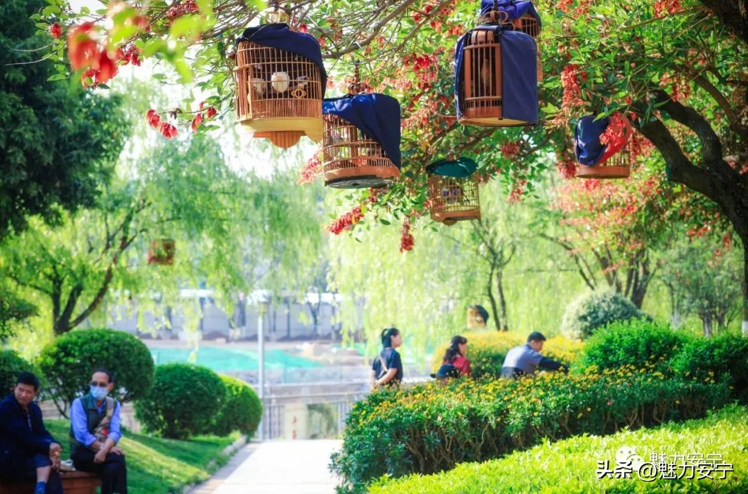 安宁2022经济发展,安宁区2022经济发展目标