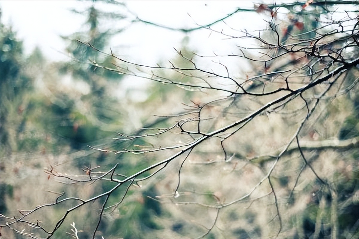 平安保险断交后能否把钱取出来,平安重疾险断交后可以申请退保吗