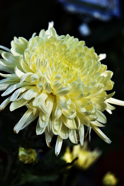 大姨妈量少怎么办,大姨妈来了怎么缓解疼痛