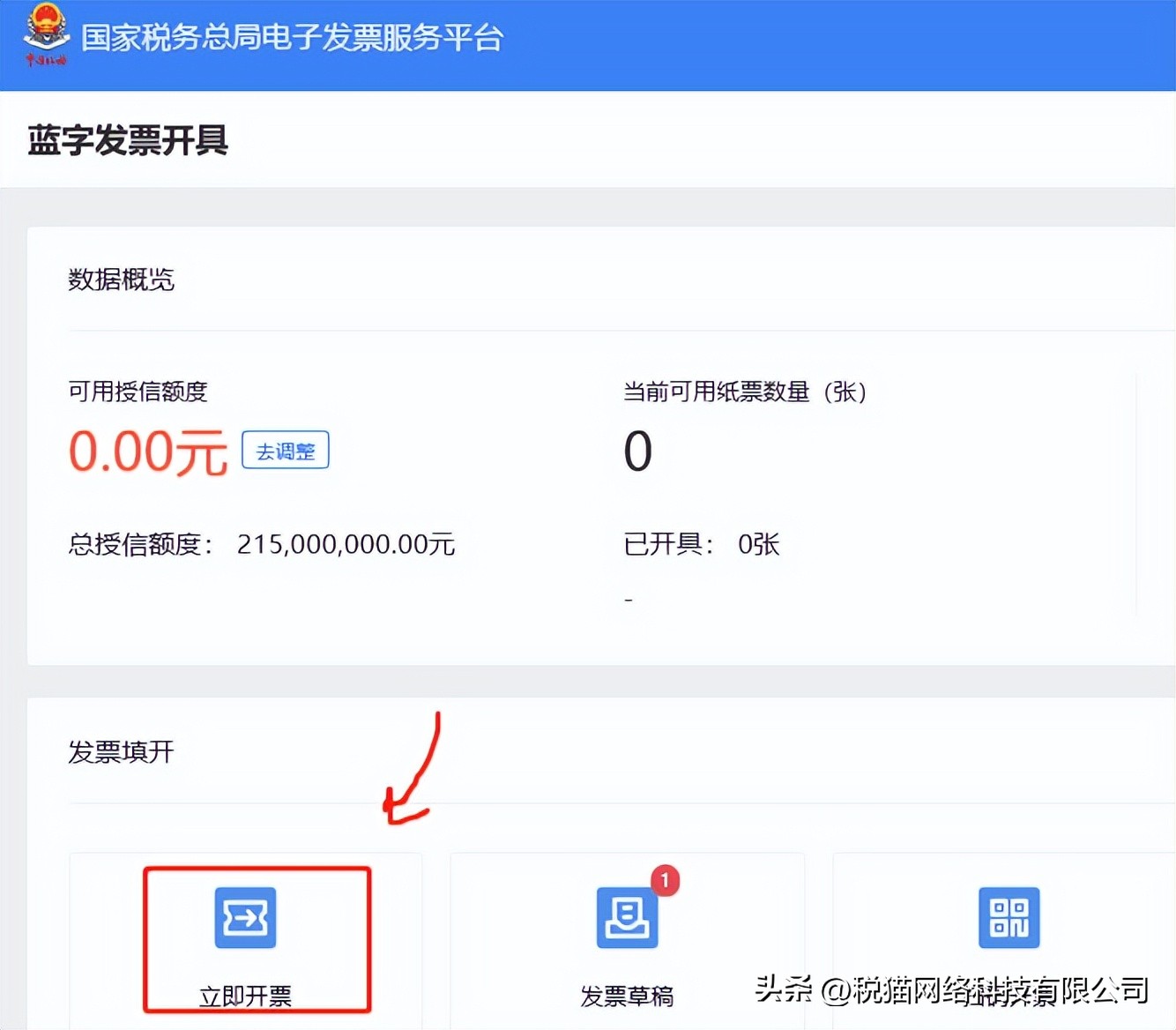 全额发票和差额发票的区别,全电发票批量开票可以开差额吗