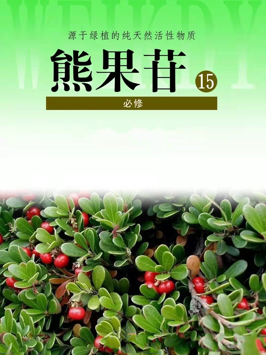 熊果苷又叫什么,熊果苷是维生素吗