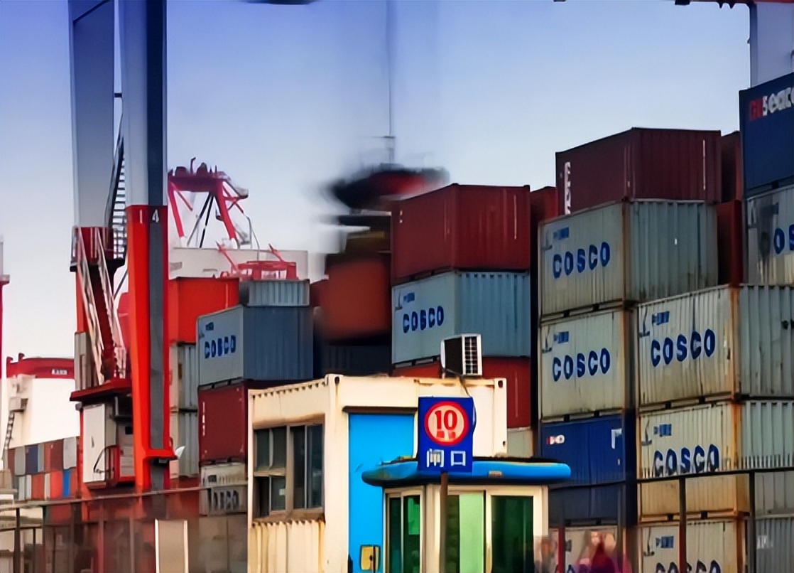 养殖羊的成功案例,大量养羊成功案例