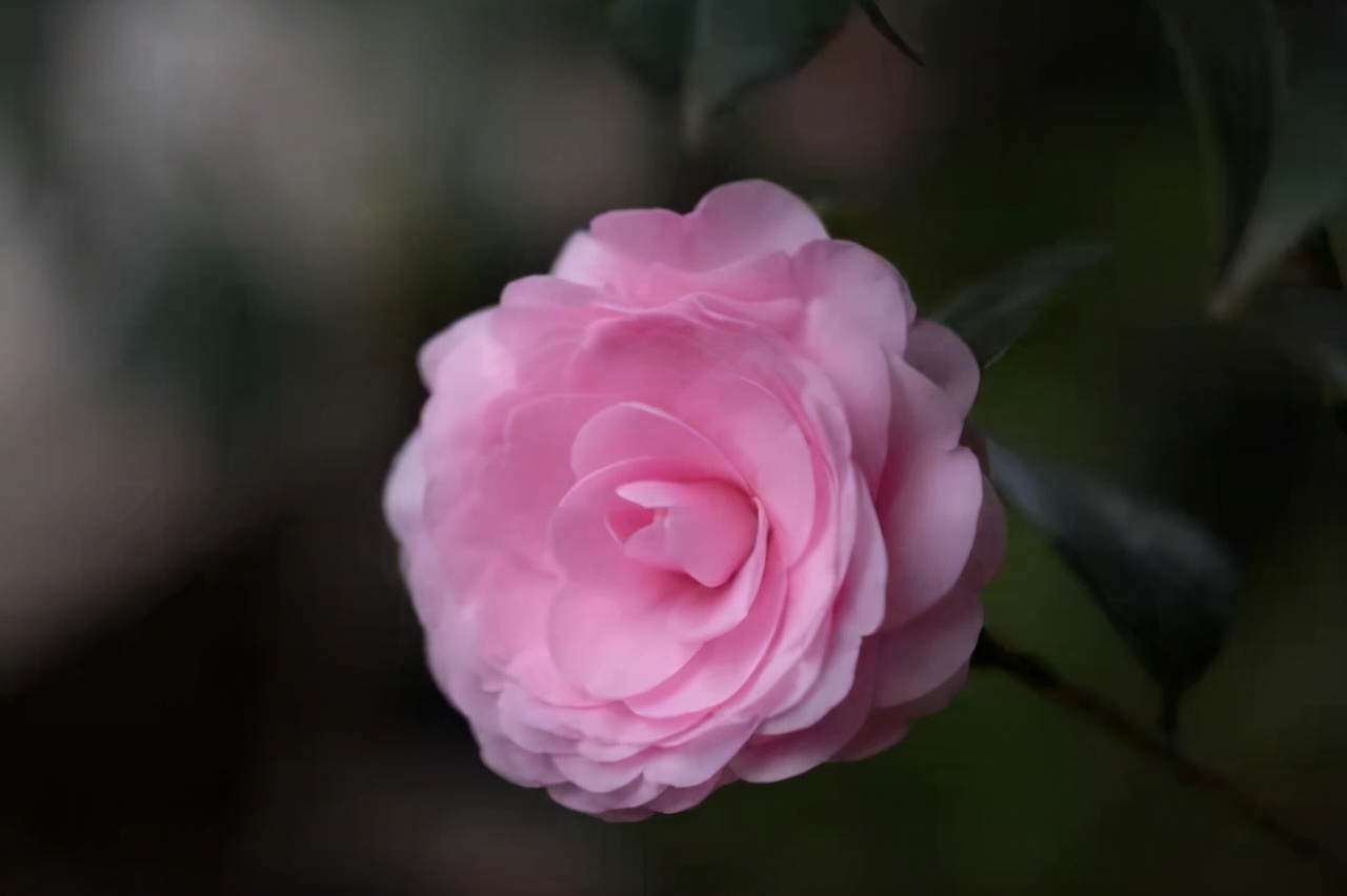 对待自己爱的女人,对待自己喜欢的人